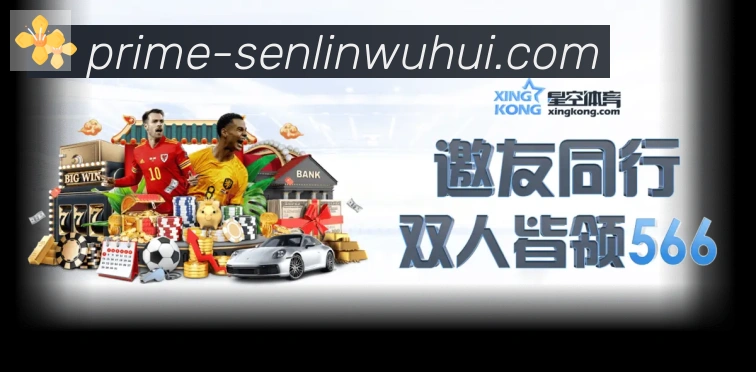 登录器